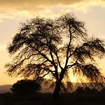 Andes Nomads Desert Camp & Lodge