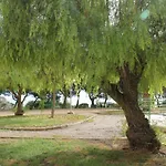 Sainvi 7 7D