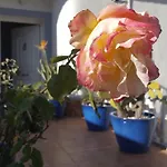 La Marquesa