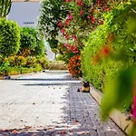 Espanatour Dos Terrazas