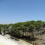 Las Mimosas