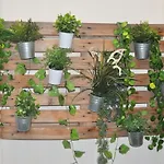 Santisima Faz Apartment