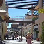 Best House Golden Zenia