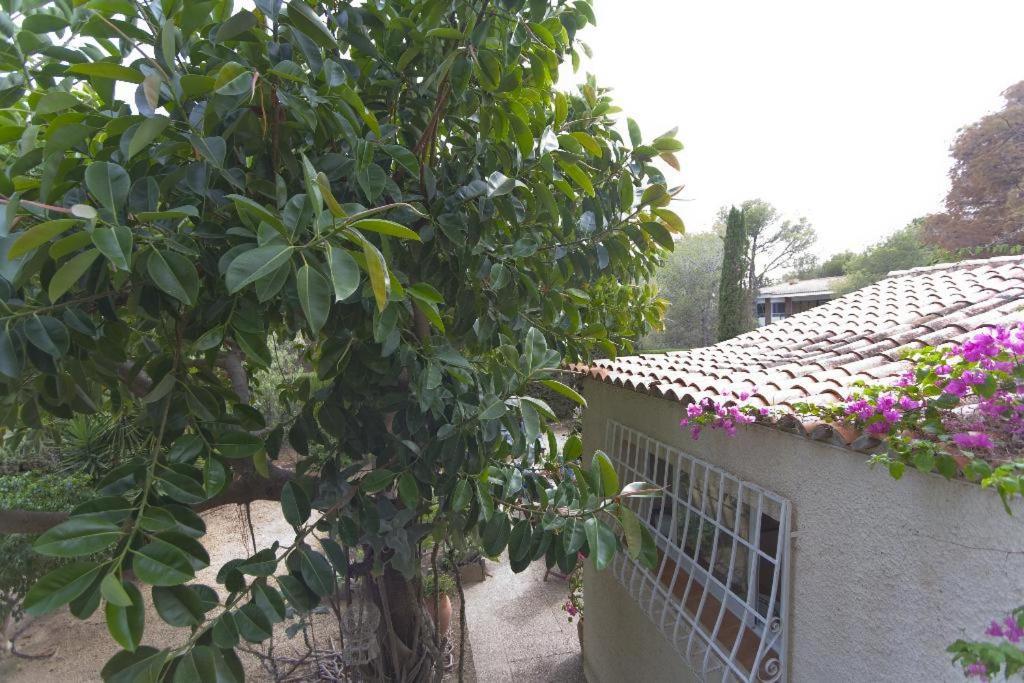 Pinos Altea
