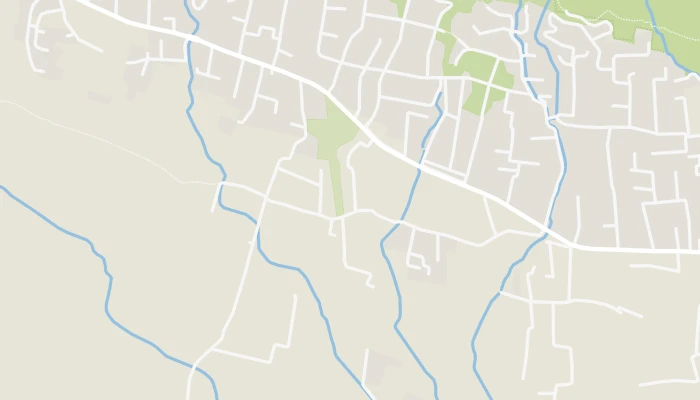 Térkép