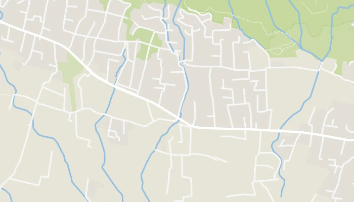 Térkép