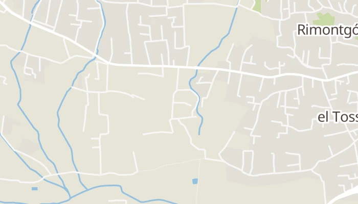 Térkép