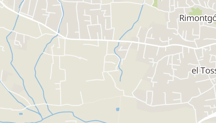 Kort