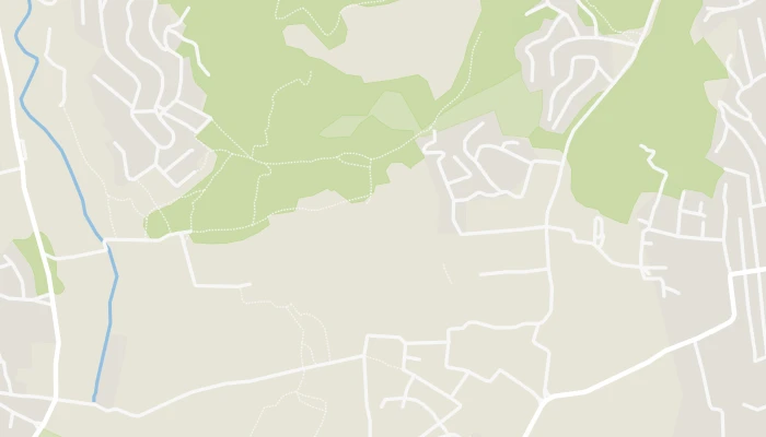 Térkép